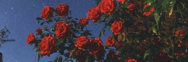 RandomTherapist Profile Banner