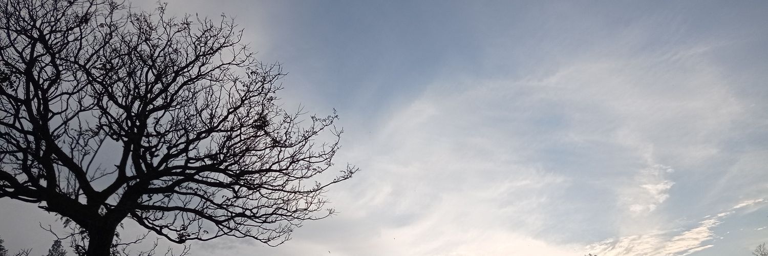 alpharockz's profile banner image