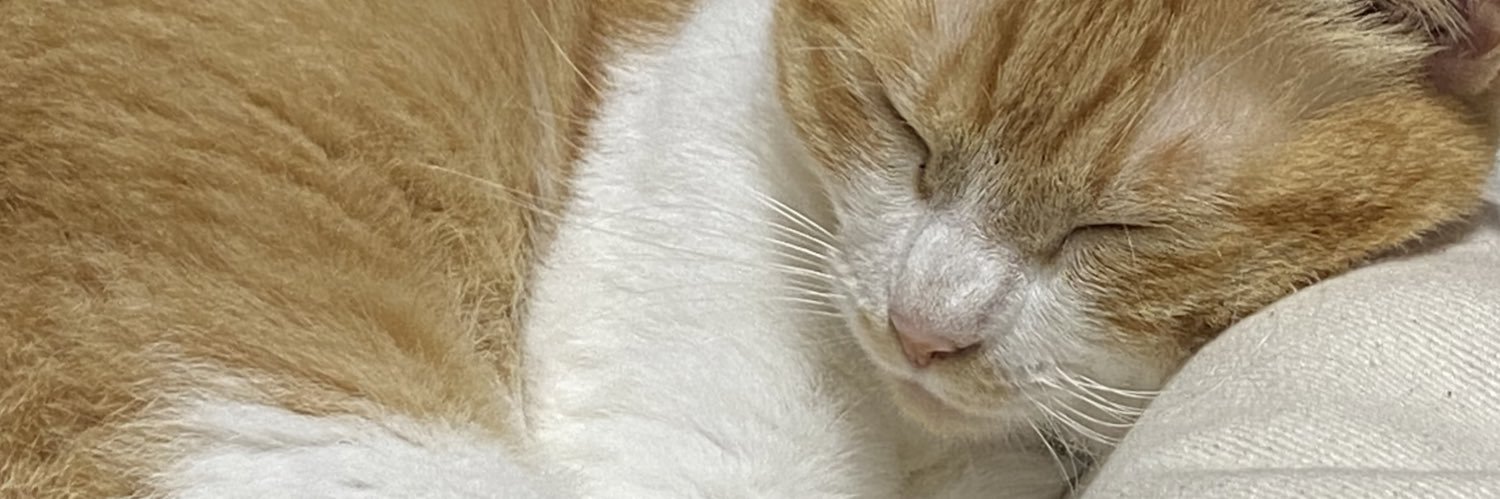 ha4sheee's profile banner image