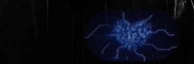 Hacker25068.@gmail.com banner