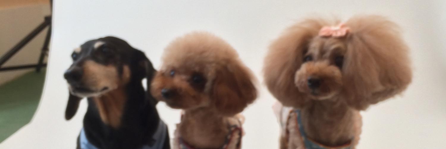 ma1023ko's profile banner image