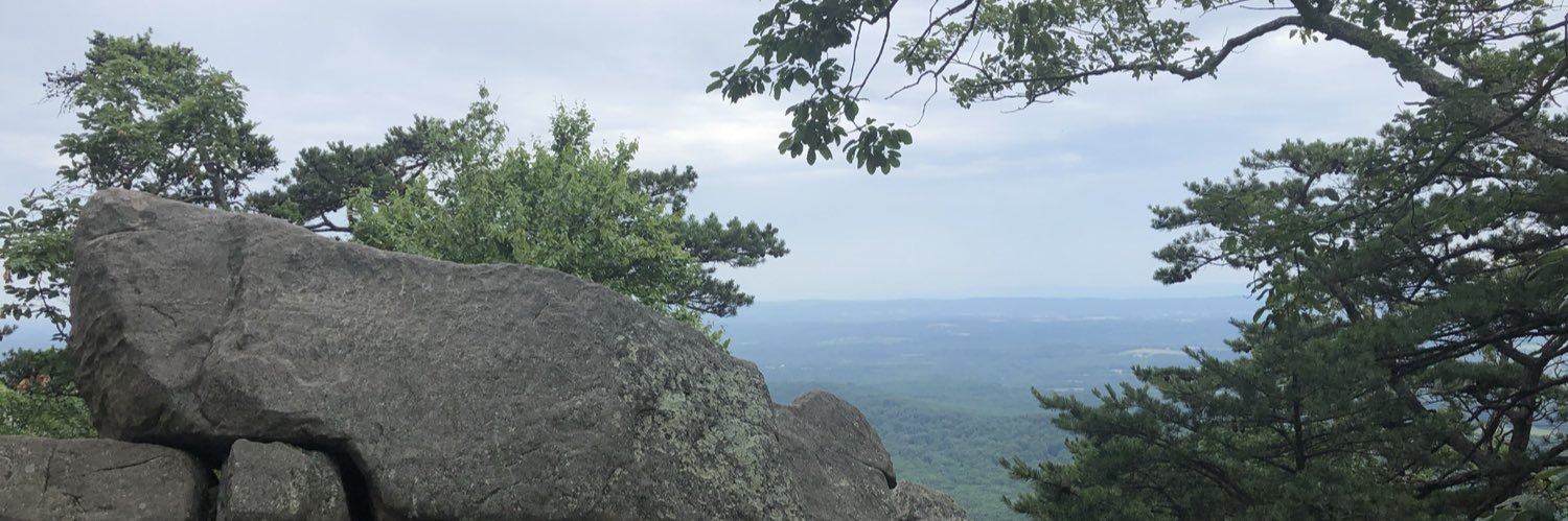 rchammond's profile banner image
