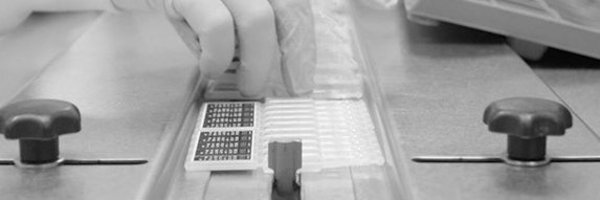 WSSterile Profile Banner