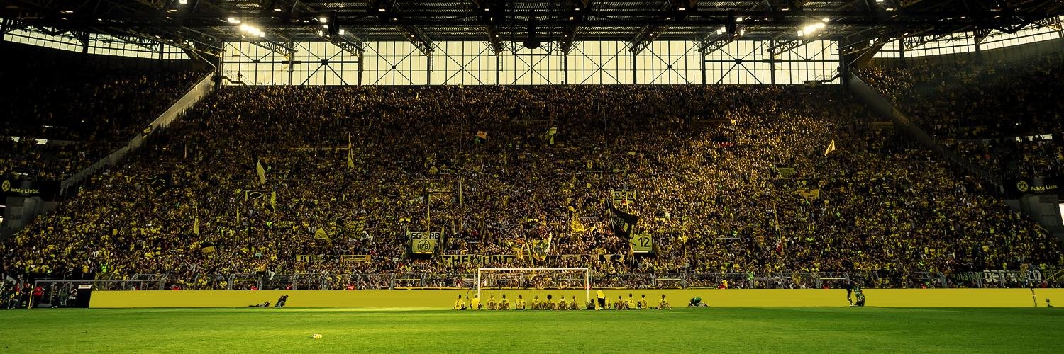 braZyuba's profile banner image