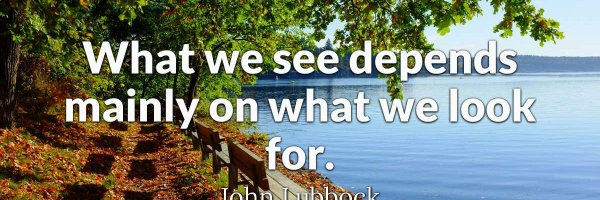 DotTerrill1 Profile Banner