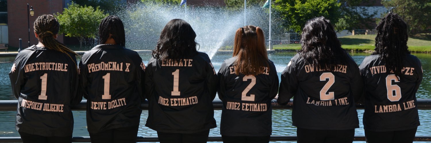 ZSC_Omicron's profile banner image