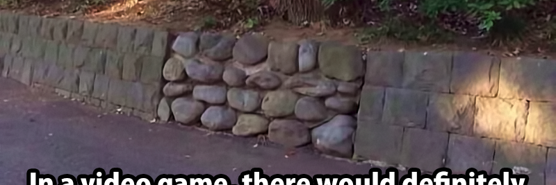 L H RAUBER RODRIGUES banner