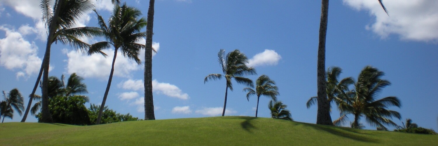 ThisNYCGolfer's profile banner image