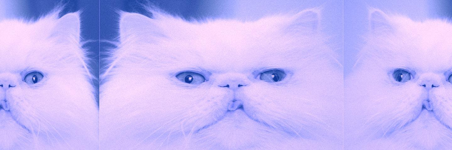 chanlexis's profile banner image
