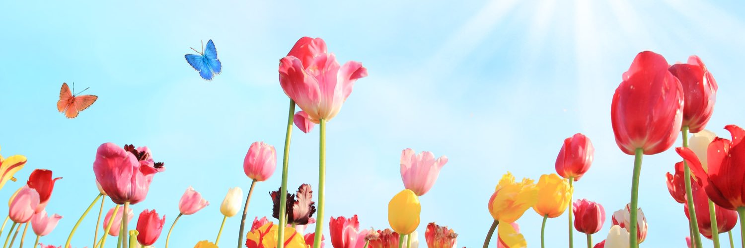 BIG BSSSS😜 banner