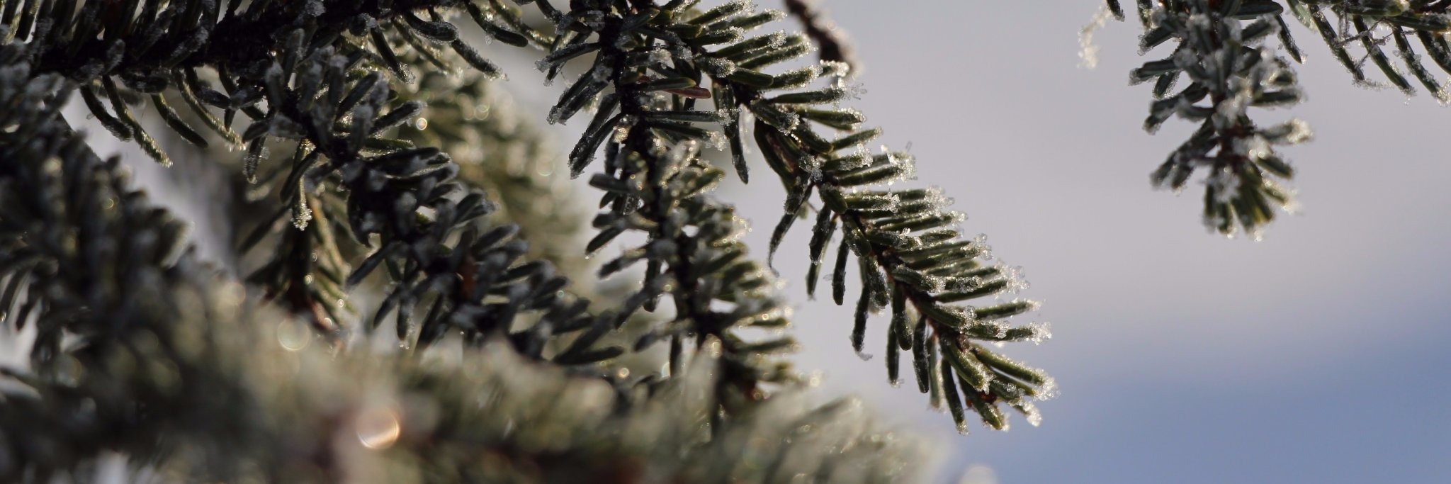 aprilsparks's profile banner image