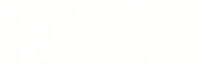 paranoia171's profile banner image