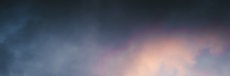daliacantu's profile banner image