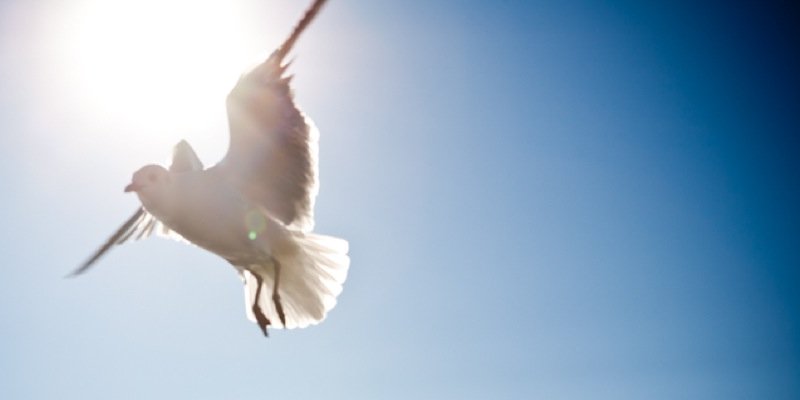 huta's profile banner image