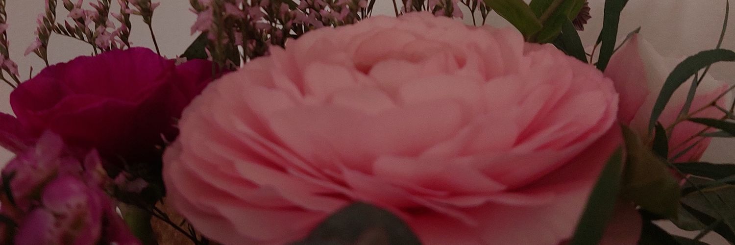 BabsOcsi's profile banner image