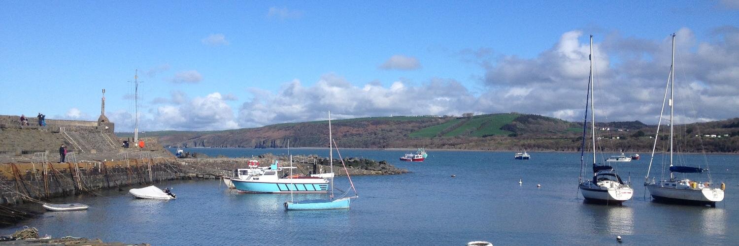 Catrin Haf Jones banner