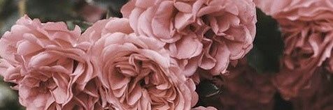 RealEzgiLand's profile banner image