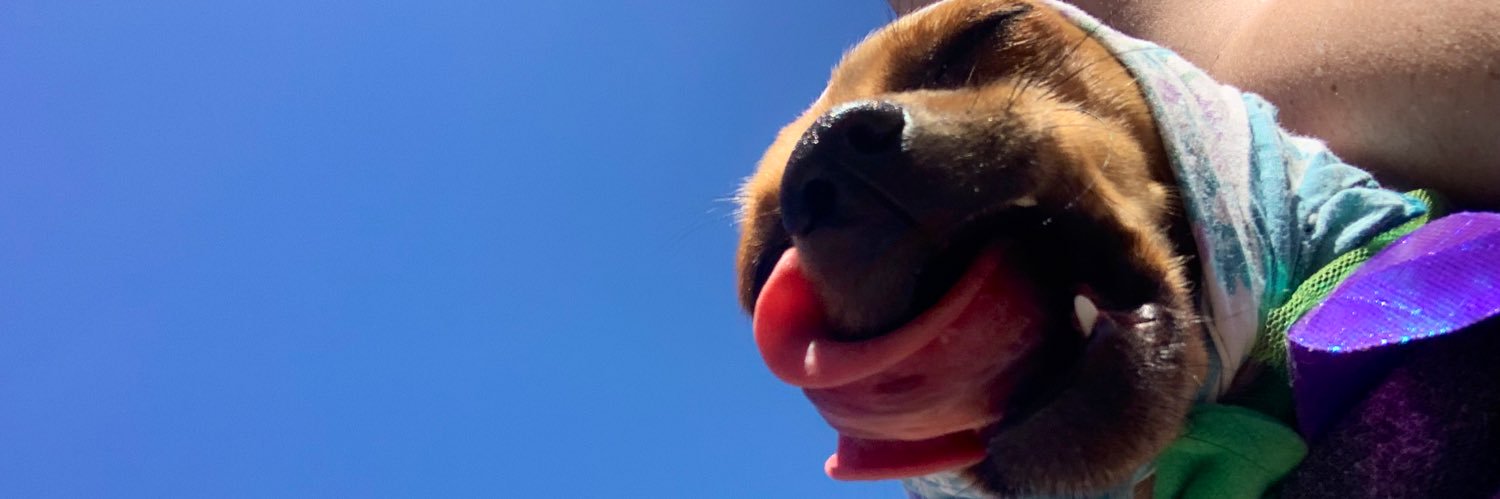 ispyemo's profile banner image