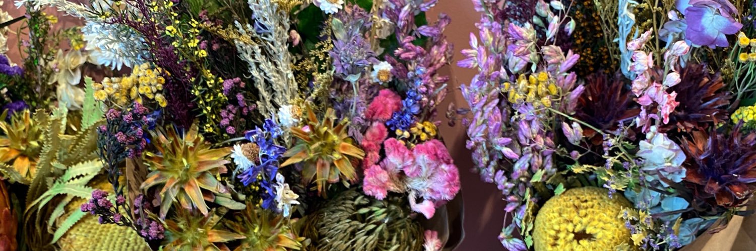 Monicandreag's profile banner image