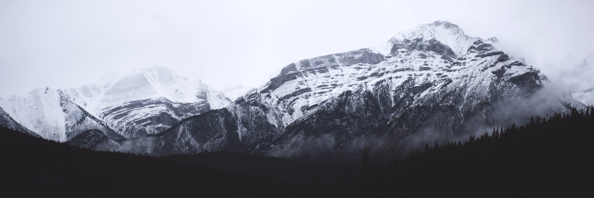 Anton Medvedev banner