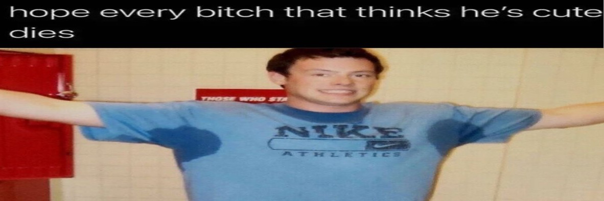 prince :3 banner