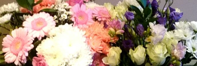sarahmckenziee's profile banner image