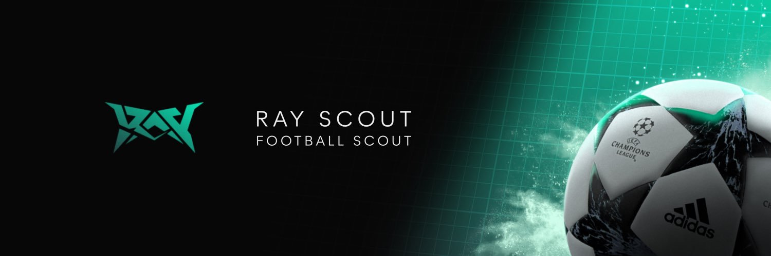 Ray Scout banner