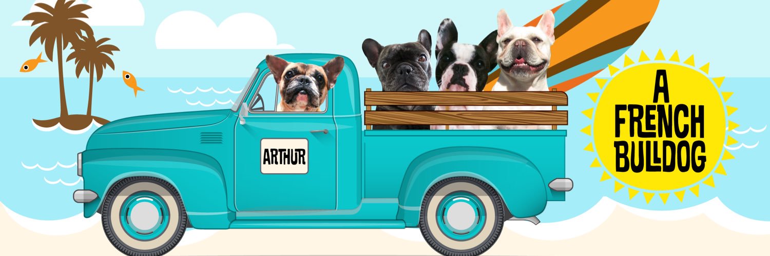 2FrenchBullys's profile banner image