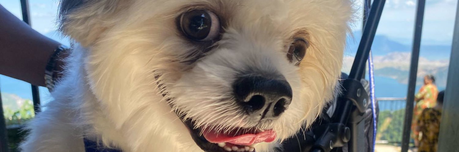 beamaranan's profile banner image