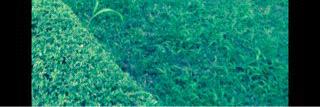 MKB_OLATUNJI's profile banner image