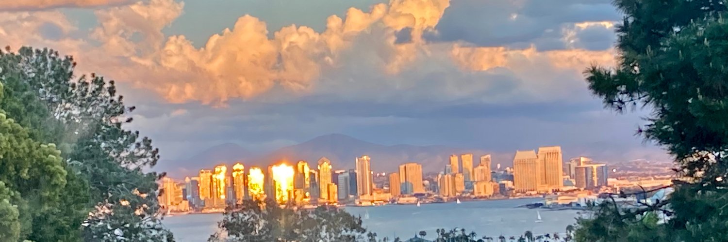 Anna Cearley-Rivas banner