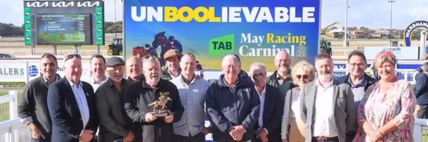 theeaglebald Profile Banner