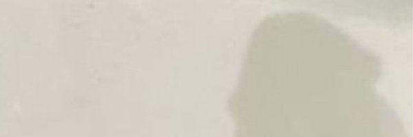 DRuizOfficial_ Profile Banner