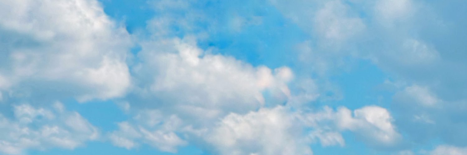 julbearr's profile banner image