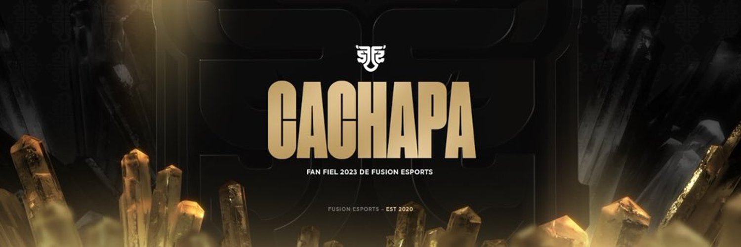 FS Cachapa Profile Banner