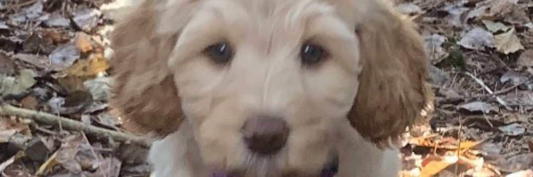 michellem555's profile banner image