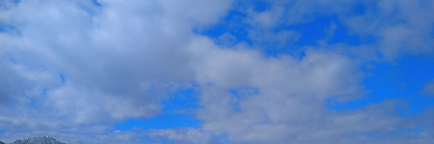 yuta S banner