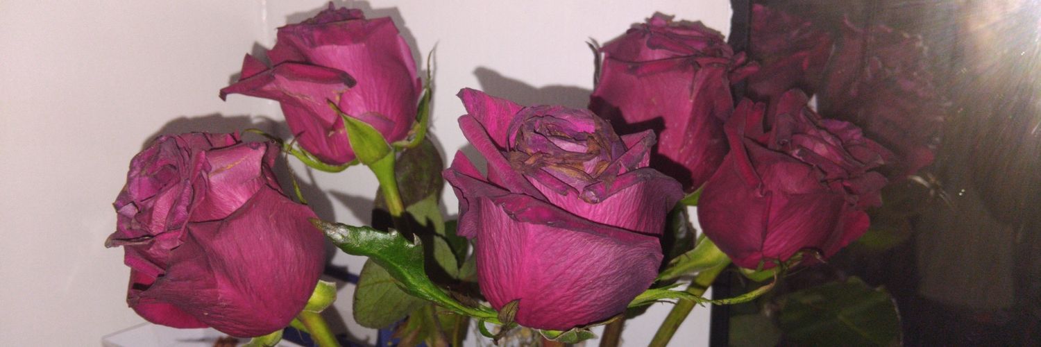 lovingdeity444's profile banner image