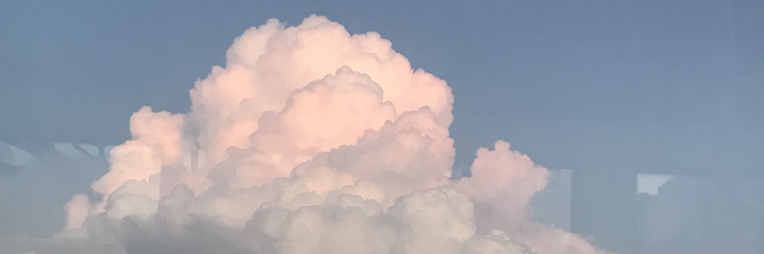 ClairePhoenixS's profile banner image