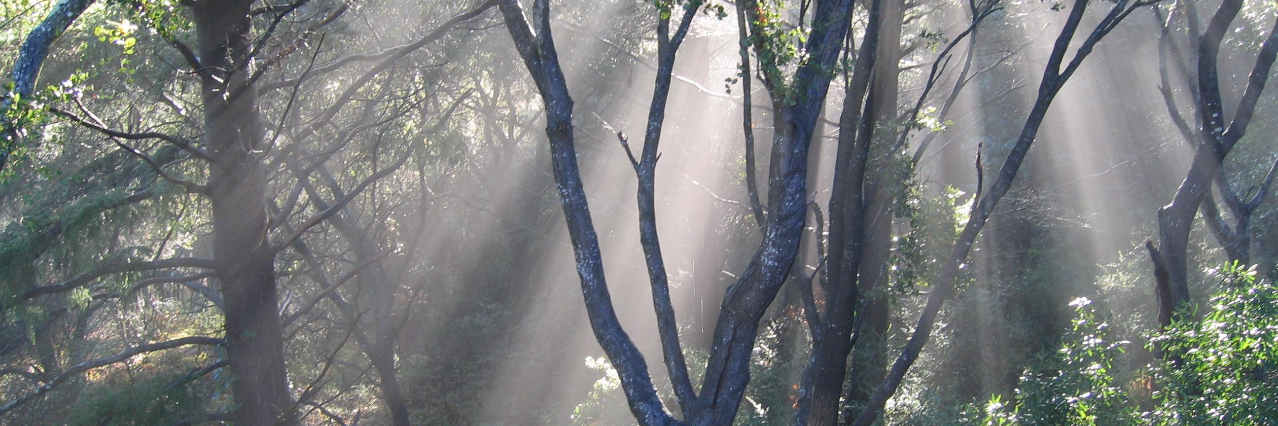 John Kaster #BLM #Ukraine #Democracy banner
