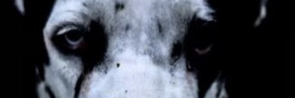 STA_267's profile banner image