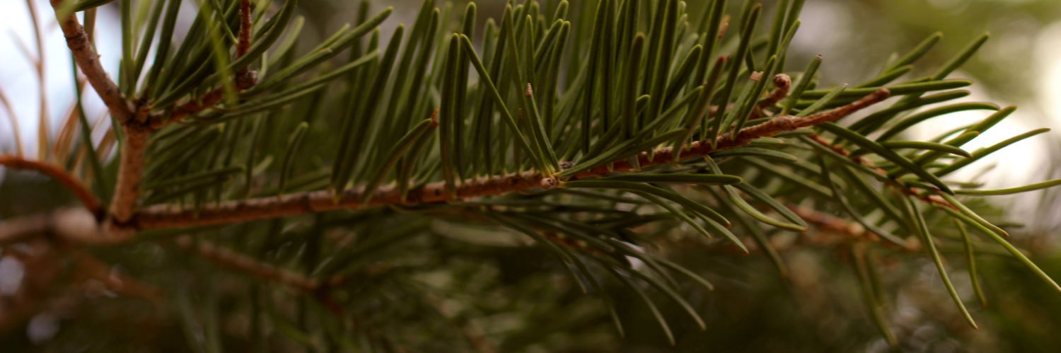 b_watts98's profile banner image