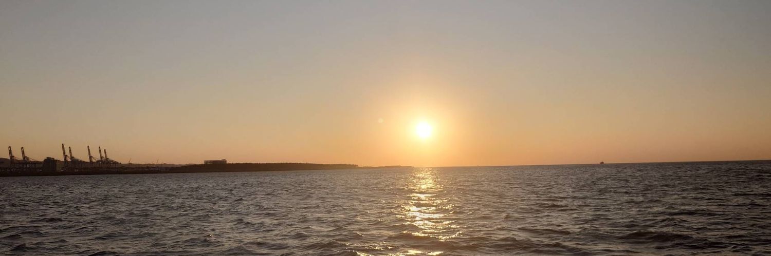 chnzshng2's profile banner image