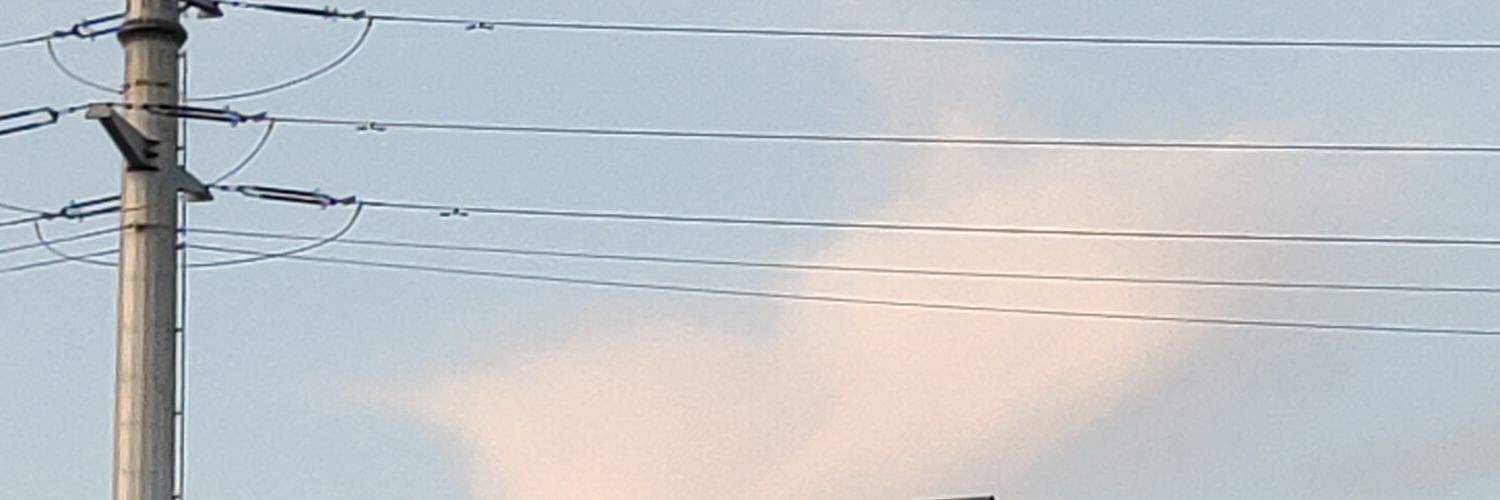 亡命～鸟 banner
