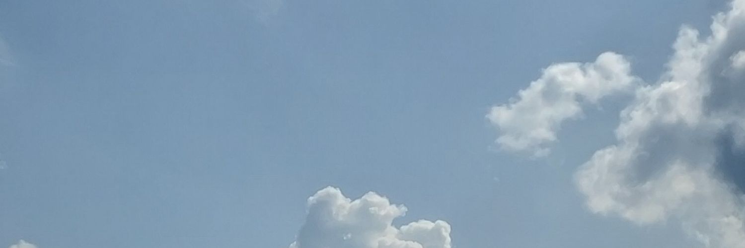 E a s y  T i d e banner