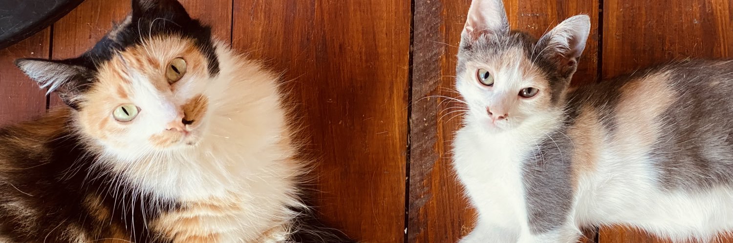 aalamique's profile banner image