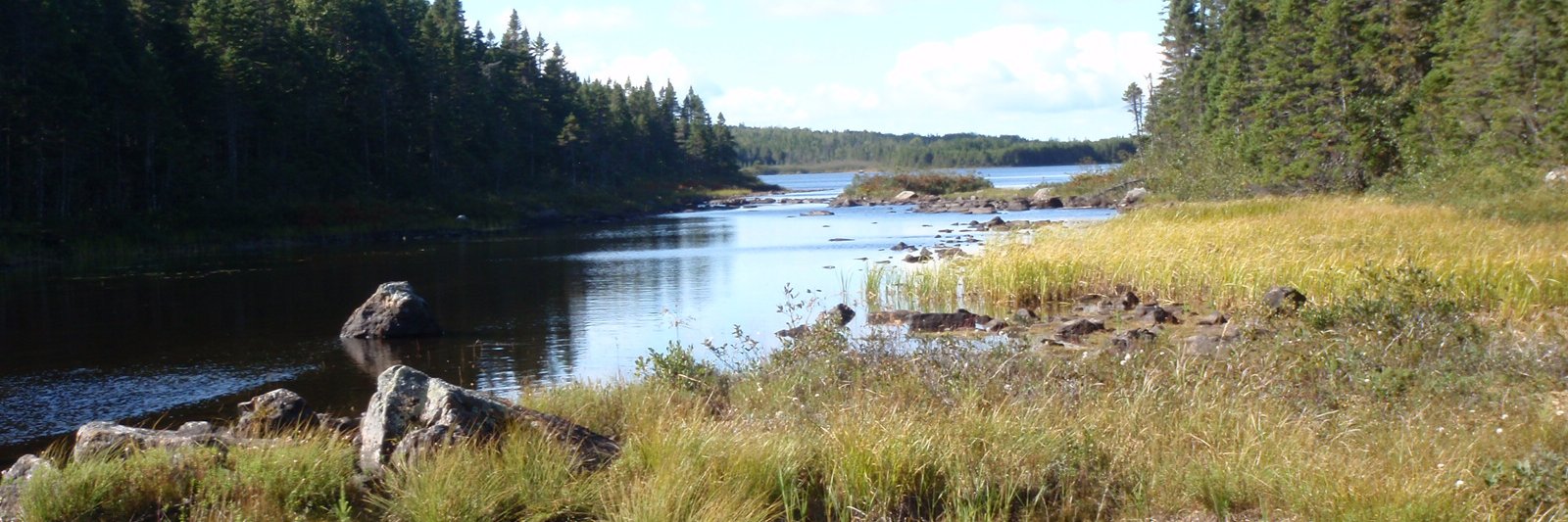 ibec_nl's profile banner image