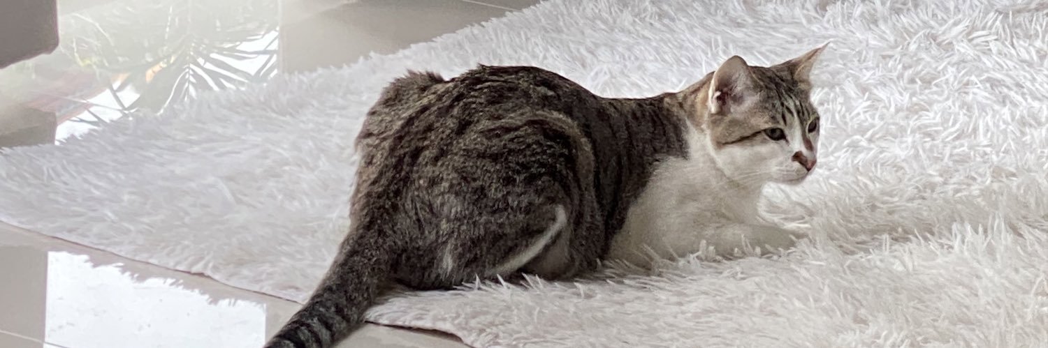 tobtoppy's profile banner image