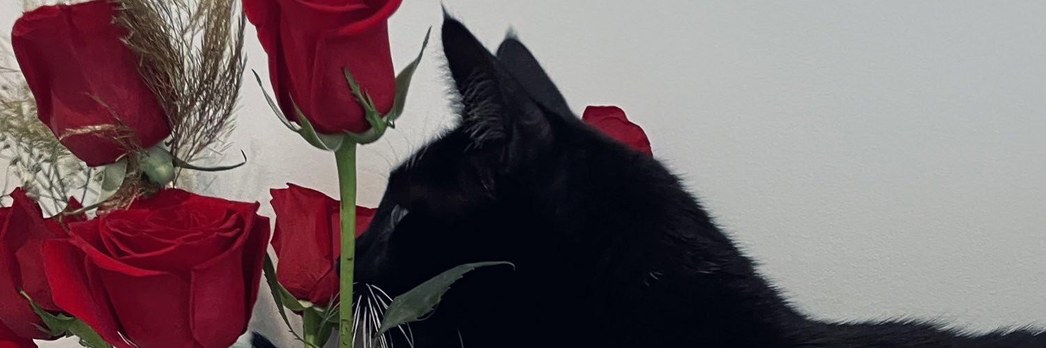 michiimunoz's profile banner image