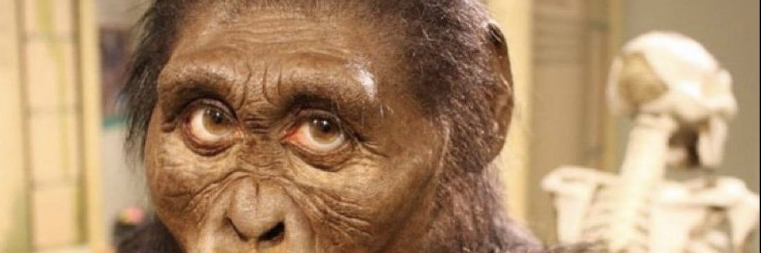 Can you answer or have you lost your network? banner